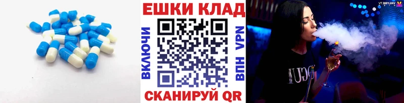 Ecstasy Punisher  купить закладку  Пыталово 