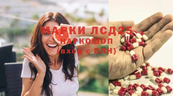 СК Армянск
