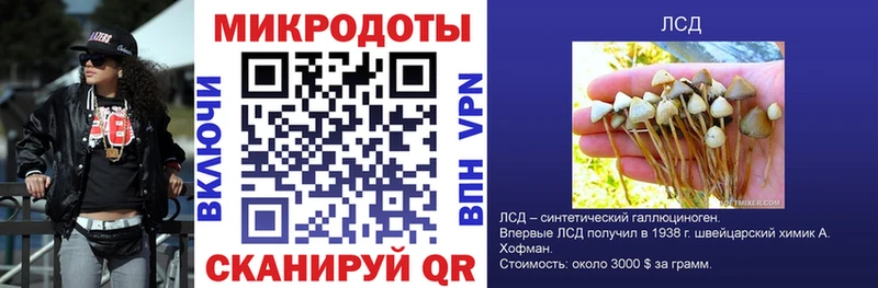 закладка  Пыталово  Галлюциногенные грибы MAGIC MUSHROOMS 