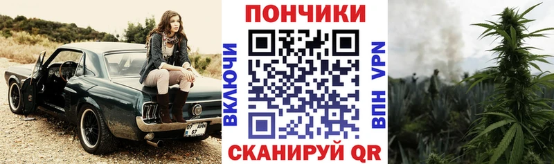 shop формула  Пыталово  Шишки марихуана Amnesia 